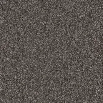 Draufsicht Girloon Cloud 561 Velours Teppichboden